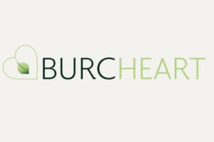 Burcheart - Finance company website